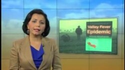 Vodiy bezgagi/CALIFORNIA VALLEY FEVER