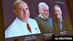 Harvey J. Alter, Michael Houghton and Charles M. Rice, are seen on a screen as they are announced as the winners of the 2020 Nobel Prize in Physiology or Medicine, in Stockholm, Oct. 5, 2020. (C. Bresciani/TT News Agency/via Reuters)