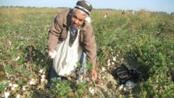 BMTda O'zbekistondagi huquqiy ahvol muhokama qilinmoqda