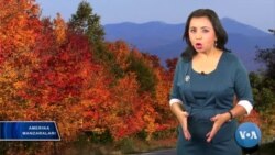 AQSh bizneslari O'zbekistondagi muhitni qanday baholamoqda?