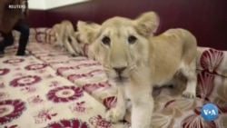 Xalqaro hayot – 24-dekabr, 2020-yil