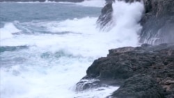 Oscar-Nominated Documentaries Highlight Refugee Crisis