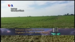 VOA Dunia Kita: 'Earth Hour' 2017 (3)