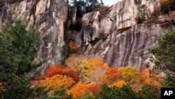 Fall colors are seen at New Hampshire's Cathedral Ledge Monday, Oct. 24, 2016, in Conway, N.H.