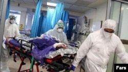 کرونا در ایران - آرشیو