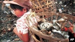 Seorang anak perempuan membantu orang tuanya bekerja menjadi pemulung sampah di Bantar Gebang, Jakarta (foto: dok). Pekerja anak di Indonesia saat ini diperkirakan mencapai 1,7 juta anak.