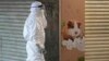 Hong Kong Orders Hamsters Killed After COVID-19 Infections