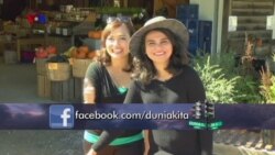 Lebah dalam Pertanian di Amerika (3)