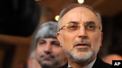 Kepala Departemen Nuklir Iran, Ali Akbar Salehi (Foto: dok).