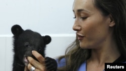 Actress Maggie Q, a goodwill ambassador for Moon Bear Rescue Vietnam, plays with an Asiatic black bear cub at the Vietnam Bear Rescue Centre in Tam Dao National Park, north of Hanoi May 14, 2009. 