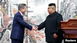 문재인 한국 대통령과 김정은 북한 국무위원장이 19일 평양공동선언문에 서명한 뒤 가진 공동 기자회견에서 악수하고 있다. 평양사진공동취재단. 