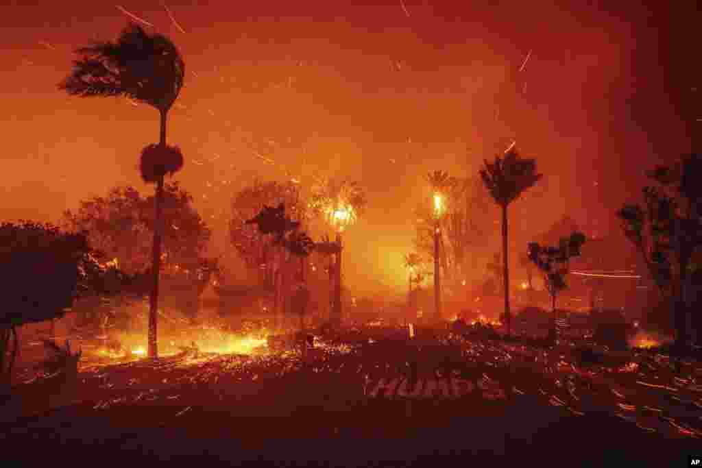 The Palisades Fire ravages amid high winds in the Pacific Palisades neighborhood of Los Angeles, Jan. 7, 2025.