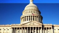 Vashington choyxonasi: uyg'urlar qardoshlardan madad kutmoqda