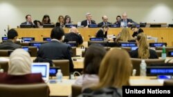 인권 문제를 다루는 유엔총회 제3위원회 회의가 열리고 있다. (자료사진)