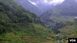 Such mountainside farms have survived for more than 900 years, in part because locals have maintained nearby forests. File photo