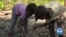 Child Labor Continues to Rob Millions of Africans of their Childhoods 