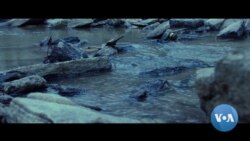 'Dark Waters' Rings Alarm on Chemical Hazards