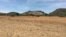 Despite forecasts of above-average rainfall, some of parts of Zimbabwe have yet to receive rains a month after the beginning of the season. Here in rural Gutu, Zimbabwe, about 300 kilometers south of Harare, farmers did dry planting in November and are waiting for precipitation. (S. Mhofu/VOA) 
