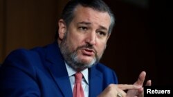 테드 크루즈 미국 공화당 상원의원