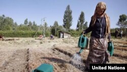 Woman waters seedlings in the Lake Tana area of Ethiopia’s Amhara Region. ©IFAD/Petterik Wiggers