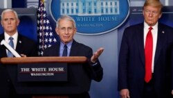 ექიმი ფაუჩი ცენტრში, თეთრი სახლის სამუშაო ჯგუფის ბრიფინგზე