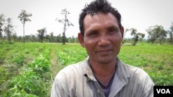 រូប​ឯកសារ៖ លោក​ អ៊ូ សុខុន ​អាយុ​៥១​ឆ្នាំ​ ​កសិករ​ម្នាក់​ទៀត​ ​ជា​អតីត​ទាហាន​ខ្មែរ​ក្រហម​ ​នៅ​ស្រុក​អន្លង់វែង​ ​ថត​ក្នុង​ចម្ការ​ដំឡូមី​របស់​លោក​ ​នា​ថ្ងៃ​ទី០២​ខែ​សីហា​ឆ្នាំ​២០១៦។ (នៅ វណ្ណារិន/VOA) 