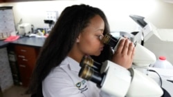 Quiz - Affirmative Action Decision Tops Higher Education News in 2023