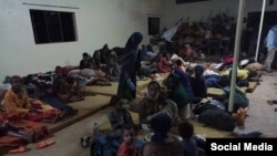 FAAYILII - Buqaatota Godina Wallaga Lixaa qubsiifaman