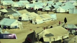 Tretman povratnika iz Sirije predstavlja izazov za BiH