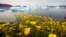 FILE - Wildflowers bloom on a hill overlooking a fjord filled with icebergs near Narsaq, Greenland.