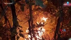 تلاش داوطلبان برای مهار آتش‌سوزی مراتع و جنگل‌های اطراف مریوان در روزهای اخیر