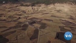 Accident d'Ethiopian: les pilotes dédouanés, Boeing en prend acte