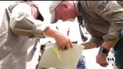 Scientists test injecting radioactivity into rhino horns to deter poachers