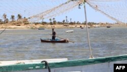 Un pêcheur en mer Méditerranée dans les îles de Kerkennah au large de Sfax, Tunisie, le 5 juin 2018.