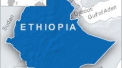 በባሌ ዞን ዲንሾ ወረዳ የጭነት አሽከርካሪ ግድያ ተጠርጣሪዎች ታሰሩ