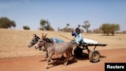 FILE - Malian children ride on a donkey cart on the road between Timbuktu and Douentza.