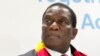 Amalunga Edale Lephalamende Amabili Asefuna Kuguqulwe Isisekelo Sombuso Welizwe Ukuze uMnangagwa Ahlale Embusweni