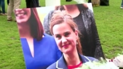 British MP's Death Halts Referendum Campaign