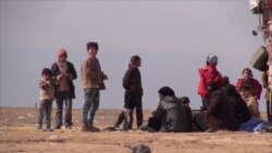 Families Flee Aleppo for Kurdish Regions in Syria