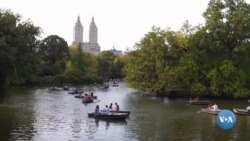 Amerikaga sayohat: Markaziy park