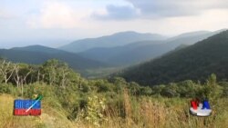 Shenandoa vodiysi bo'ylab... Vivaldi hamrohligida.