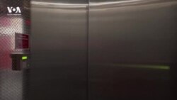 Пицца как образ жизни