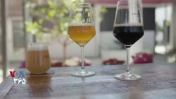 رمز مزه‌ها – صدف‌های خوراکی