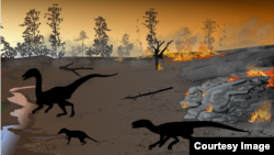 This artist illustration depicts Karoo firewalking dinosaurs dating back to the Early Jurassic geologic period. (Heterodontosaurid silhouette is courtesy of Viktor Radermacher, via PLOS ONE.)