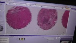 Can Artificial Intelligence Help Doctors Make Better Decisions?