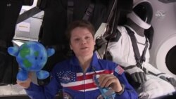 SpaceX的太空舱成功停靠国际空间站