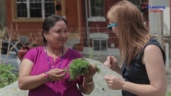 Center Helps Refugees with American Life