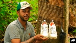 Rubber tapper Rogerio Mendes shows off his Veja sneakers, received as a prize for his work as a young rubber extractor in the Chico Mendes Extractive Reserve, Acre state, Brazil, Wednesday, Dec. 7, 2022. (AP Photo/Eraldo Peres)