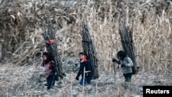 지난 2013년 12월 북-중 접경도시 신의주의 소녀들이 압록강변에서 나무를 지고 가고 있다. (자료사진)