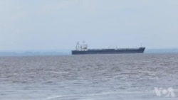 Mbano ya botongi libongo na mayi mozindo likolo lya parc marrain ya mangrove na Banana